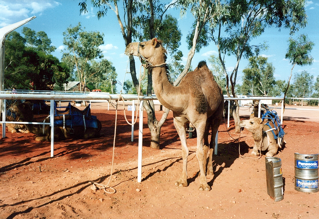 2000 - Australie 202G.jpg